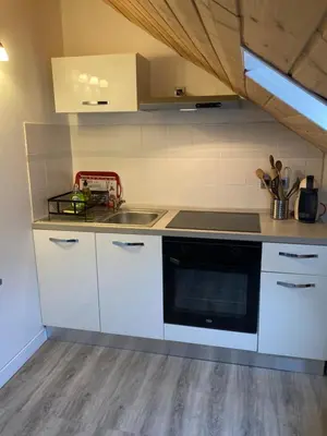 Cuisine ou kitchenette dans l'établissement Appartement F3