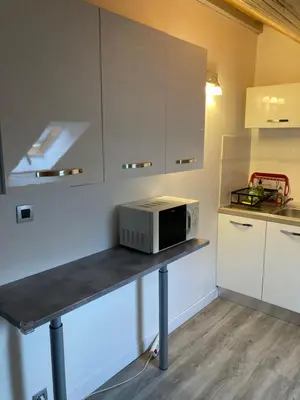 Cuisine ou kitchenette dans l'établissement Appartement F3
