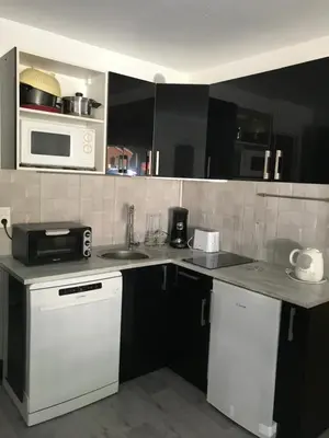 Cuisine ou kitchenette dans l'établissement Appartement au pied des pistes