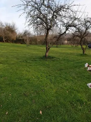 Jardin de l'établissement Domaine mon doux rêve
