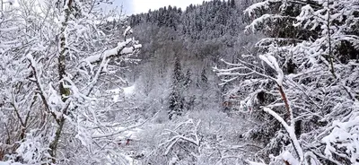 L'établissement Chalet des cascades en hiver