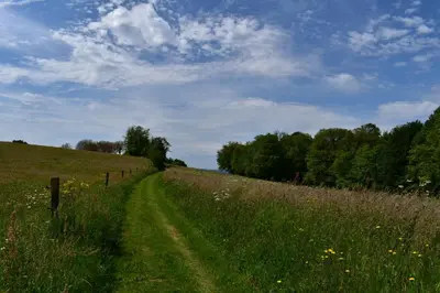 Paysage naturel près de l'appartement