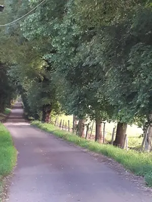 Paysage naturel près de la maison de vacances