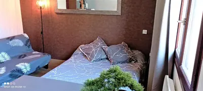 Un ou plusieurs lits dans un hébergement de l'établissement Appartement double centre de LIMOGES
