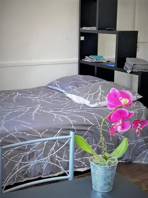 Un ou plusieurs lits dans un hébergement de l'établissement STUDIO double dans centre de LIMOGES WIFI