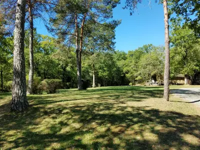 Jardin de l'établissement Chalets et mobilhomes les Tourterelles