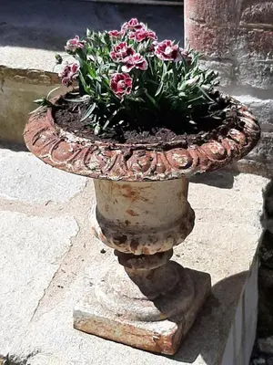 Jardin de l'établissement Luxe gîte met authentieke kamers in de Creuse, France