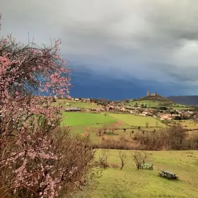 Les coteaux de Planèze