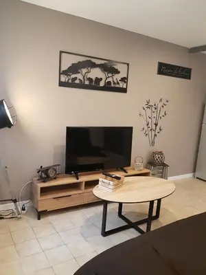Télévision ou salle de divertissement dans l'établissement Petite maison en pierre au coeur du Périgord noir proche de Sarlat et Rocamadour