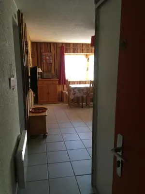 Télévision ou salle de divertissement dans l'établissement Appartement chalet Bellevue-pied de la montagne - Mont Dore