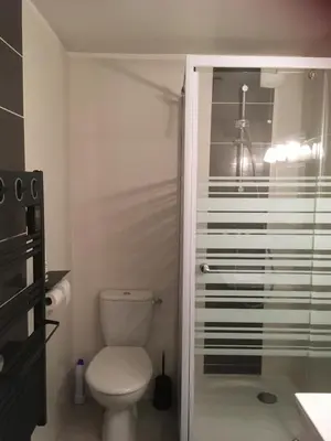 Salle de bains dans l'établissement Appartement chalet Bellevue-pied de la montagne - Mont Dore