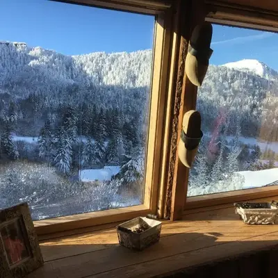 Appartement chalet Bellevue-pied de la montagne - Mont Dore