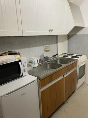Cuisine ou kitchenette dans l'établissement bel appartement du sancy