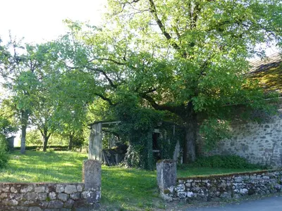 Jardin de l'établissement Gite E'table Charlannes
