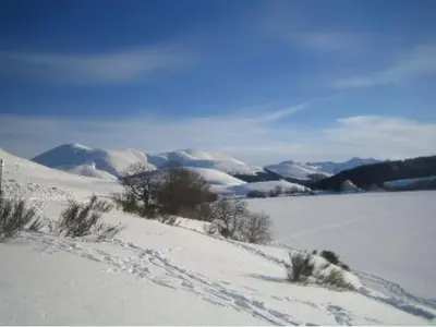 Paysage naturel près de l'appartement