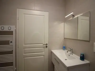 Salle de bains dans l'établissement Appartement T3 Confortable avec Parking et WiFi au Mont-Dore - FR-1-608-87