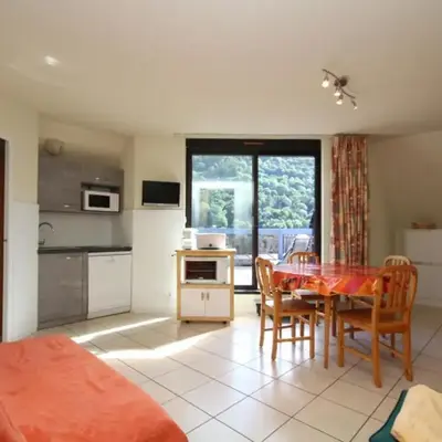 T2 agréable au Mont-Dore avec terrasse pour 4 personnes - FR-1-608-146