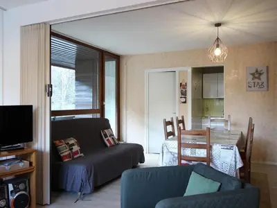 Télévision ou salle de divertissement dans l'établissement Appartement T3 au Mont-Dore avec terrasse et WiFi - FR-1-608-175