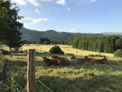 Paysage naturel près de l'appartement