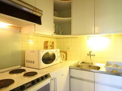 Cuisine ou kitchenette dans l'établissement Mont-Dore T2 avec Balcon et Garage Privé - FR-1-608-133