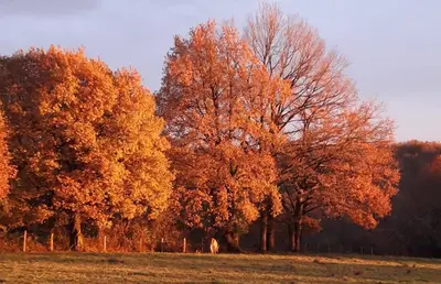 Paysage naturel près de la maison de vacances