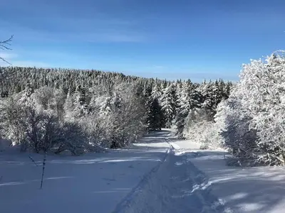 L'établissement Mont-Dore: T2 avec Balcon, Parking et WIFI - FR-1-608-125 en hiver