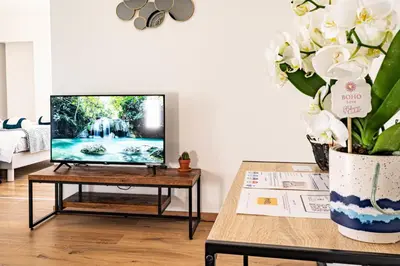 Télévision ou salle de divertissement dans l'établissement SOTHYS Design Apartment 7 min from Limoges