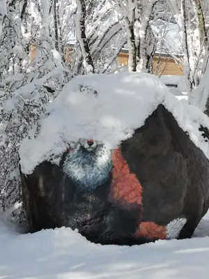 L'établissement Auvergne chalets Sancy en hiver
