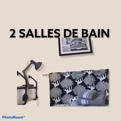 Plan de l'établissement LES HORTENSIAS Spacieuse Maison en ardoise du pays FIBRE