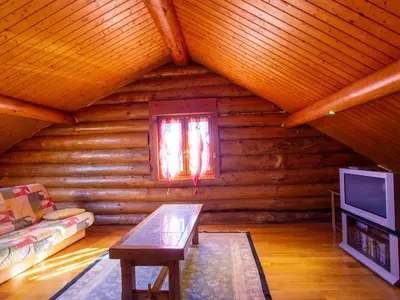 Télévision ou salle de divertissement dans l'établissement Chalet confortable au bord d'un étang à Dussac - FR-1-616-72