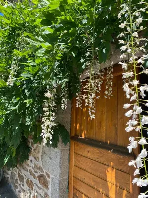 Jardin de l'établissement Sous les étoiles au bois d’embesse