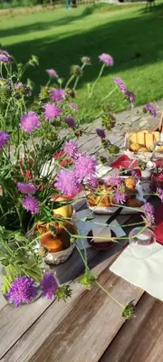 Jardin de l'établissement Sous les étoiles au bois d’embesse