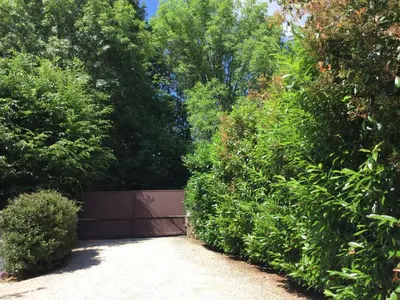 Jardin de l'établissement Luxe,piscine,jacuzzi,moulin historique en pierres entièrement rénové