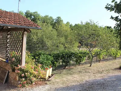 Jardin de l'établissement Maison de campagne avec wifi près de Thenon, 3 chambres - FR-1-616-138