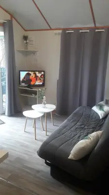 Télévision ou salle de divertissement dans l'établissement Chalet les Hameaux du Perrier