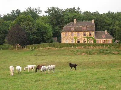 Animaux dans le B&B/chambre d'hôtes ou à proximité
