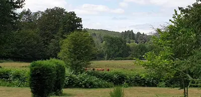 Paysage naturel près de le camping