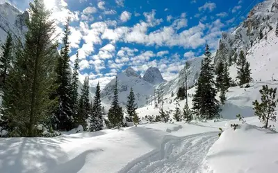 L'établissement Appartement dans residence de tourisme en hiver