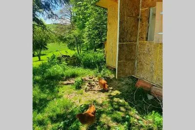 Jardin de l'établissement Gîte Les Hauts de Villemaloux