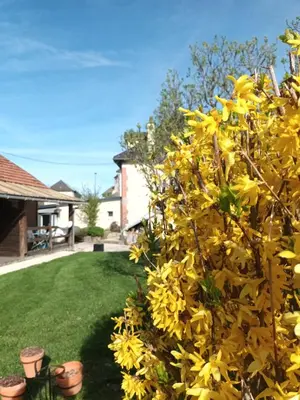Jardin de l'établissement Le Miraillet, gîte