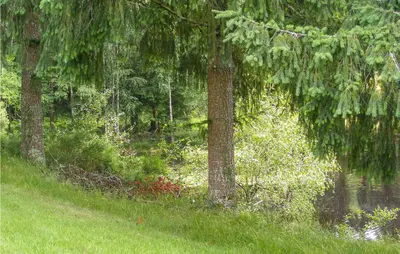 Paysage naturel près de la maison de vacances
