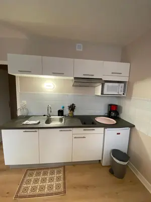 Cuisine ou kitchenette dans l'établissement LA Marmotte ensoleillé centre ville 15mn LIORAN
