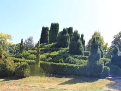 Jardin de l'établissement Maison mitoyenne charme XIXe avec jardin en Dordogne - FR-1-616-195