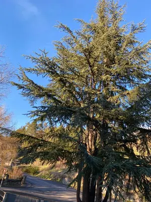 Paysage naturel près de l'appartement