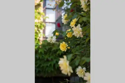 Jardin de l'établissement La ferme du coustal