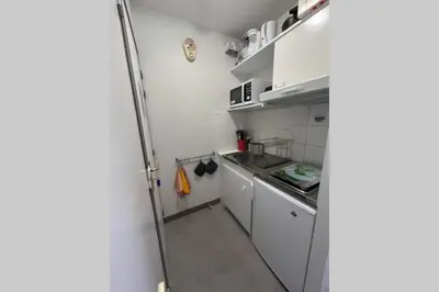 Cuisine ou kitchenette dans l'établissement Les oiseaux T2