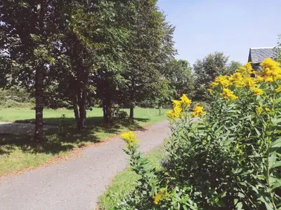 Jardin de l'établissement Maison d'Hôtes La Grange