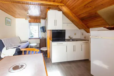 Cuisine ou kitchenette dans l'établissement Le Haut Mont-Dore