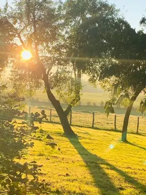 Jardin de l'établissement La Petite Ecurie