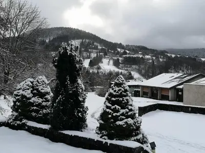 L'établissement Appartement cosy et fonctionnel la Bourboule en hiver